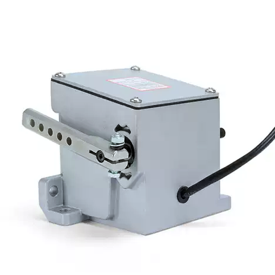 ADC300-24 ADC300-12 Electron Actuator